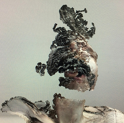 Interrupted 3D scan by artist Paul Coombs